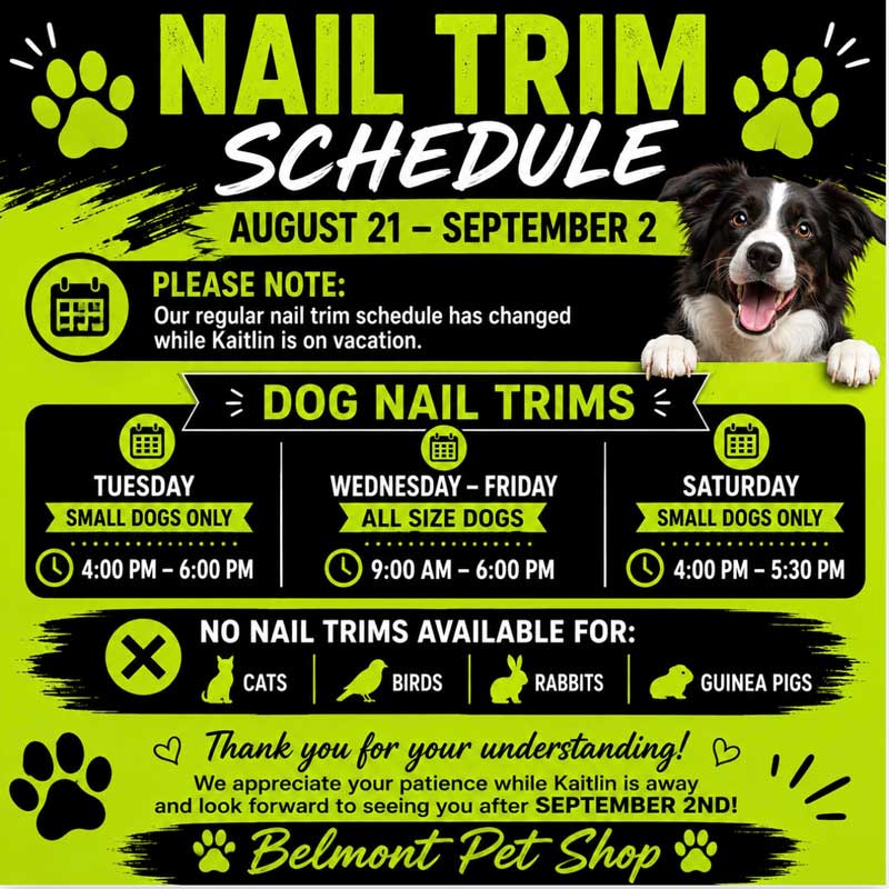 Nail trim services